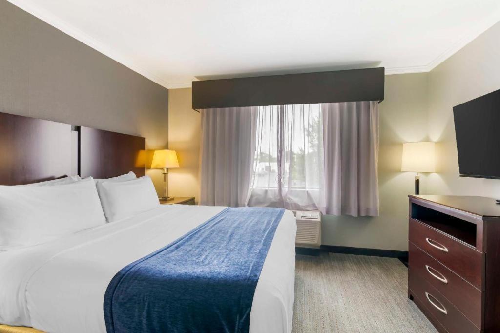 Western Hotel 3*